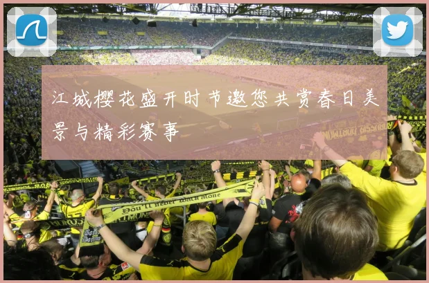 江城樱花盛开时节邀您共赏春日美景与精彩赛事